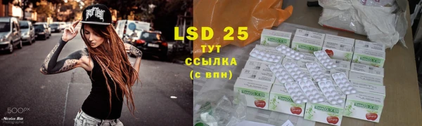 индика Баксан