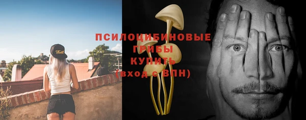 индика Баксан