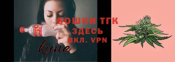 индика Баксан