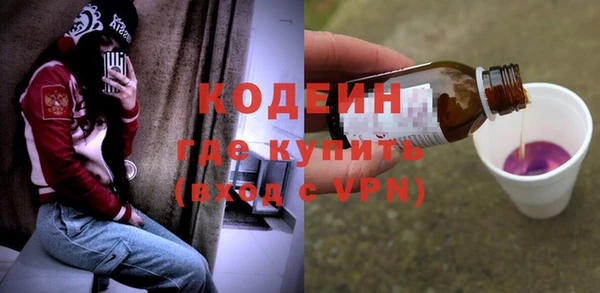 индика Баксан